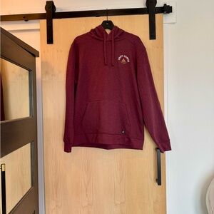 Men’s Alpine design hoodie
